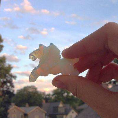 6686体育官网下载