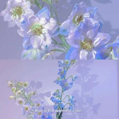 江南足球app下载