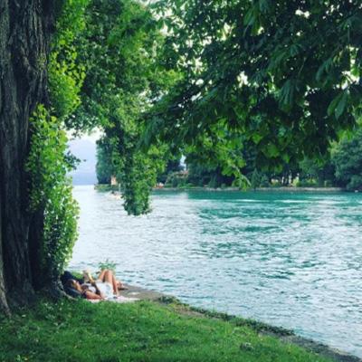 亚新下载手机版