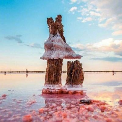 金沙8888js官方手机app下载