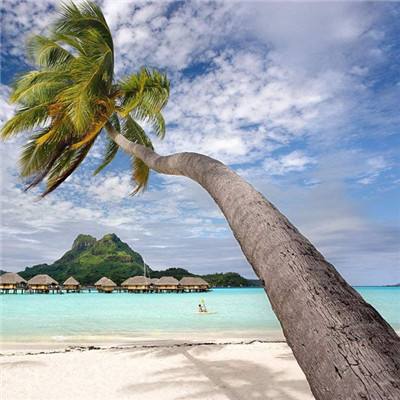 大众彩票入口welcome·官方网站截图