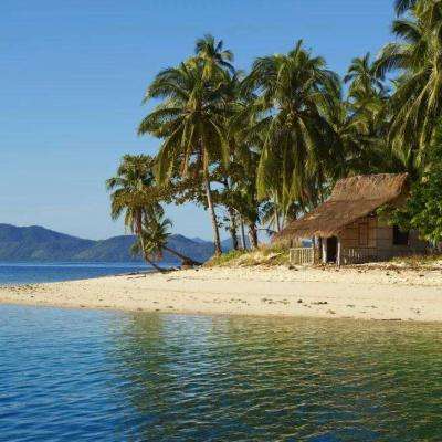 皇冠APP官方版下载安装手机app下载