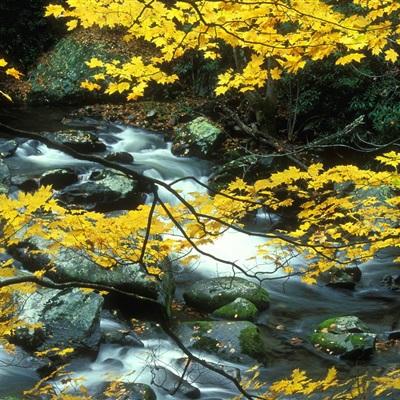 云开平台APP官方全站APP入口下载手机版