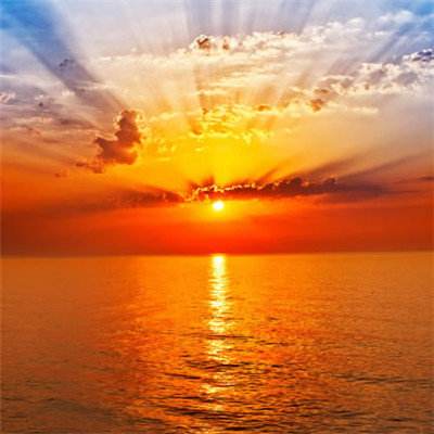 半岛官方网站下载